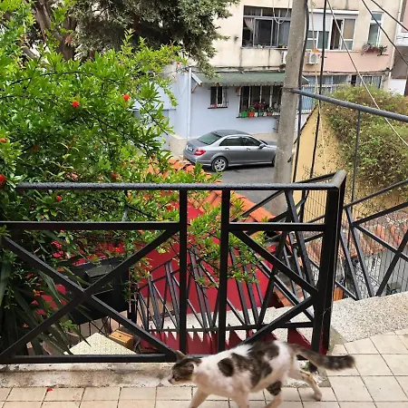 Red Goat * Tirana