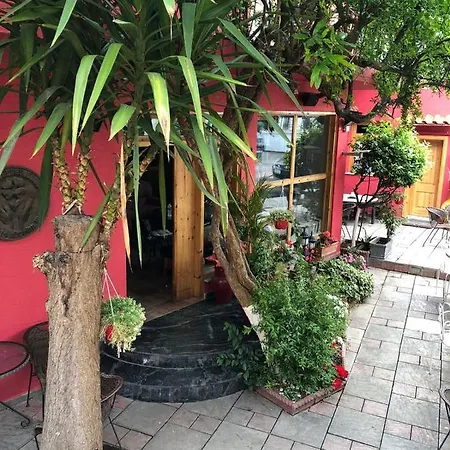 Red Goat Hostel Tiran