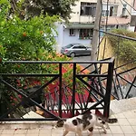 Red Goat * Tirana