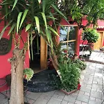 Red Goat 旅馆 地拉那