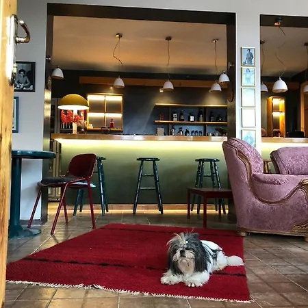 Red Goat Tirana