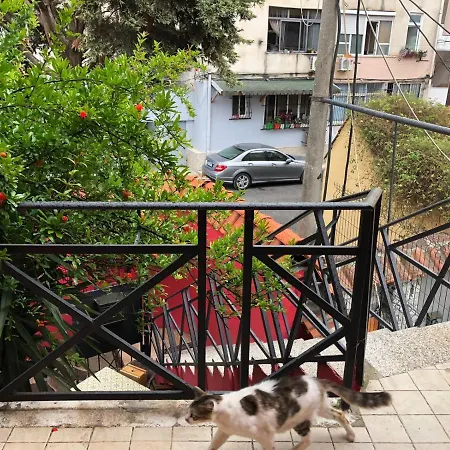 Red Goat * Tirana